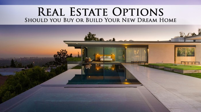 Real Estate Options – Should you Buy or Build Your New Dream Home – The ...